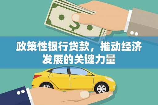 皇姑政策性银行贷款，推动经济发展的关键力量