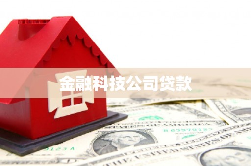 皇姑金融科技公司贷款