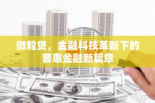 皇姑微粒贷，金融科技革新下的普惠金融新篇章
