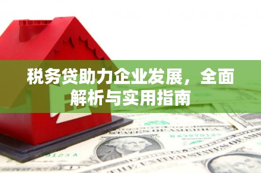 皇姑税务贷助力企业发展，全面解析与实用指南