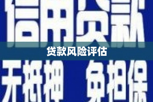 皇姑贷款风险评估