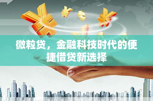 皇姑微粒贷，金融科技时代的便捷借贷新选择