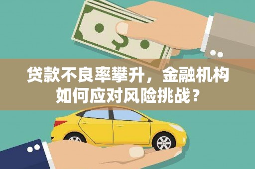 皇姑贷款不良率攀升，金融机构如何应对风险挑战？
