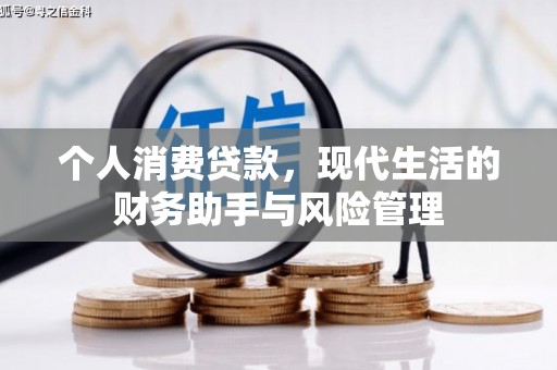 皇姑个人消费贷款，现代生活的财务助手与风险管理