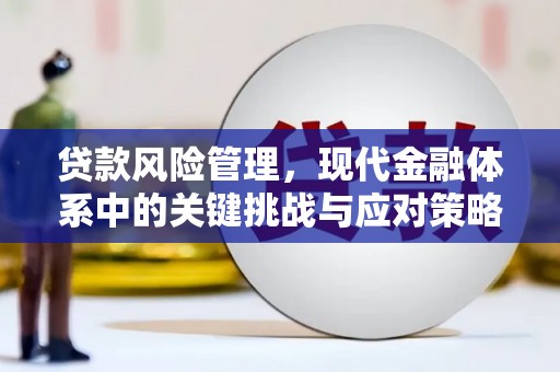 皇姑贷款风险管理，现代金融体系中的关键挑战与应对策略