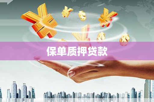 皇姑保单质押贷款