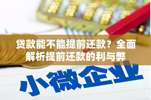 皇姑贷款能不能提前还款？全面解析提前还款的利与弊
