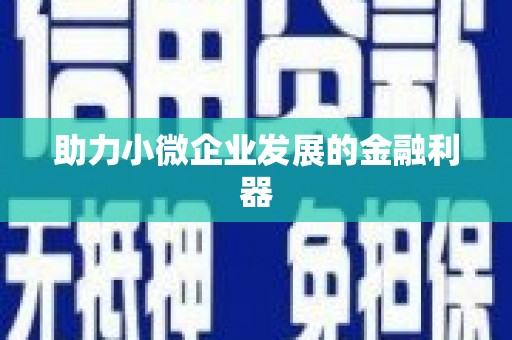 皇姑助力小微企业发展的金融利器