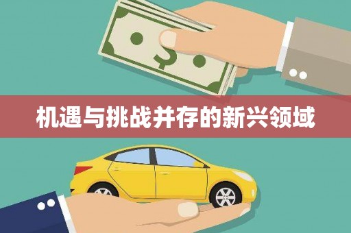 皇姑机遇与挑战并存的新兴领域