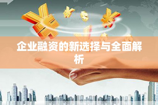 皇姑企业融资的新选择与全面解析