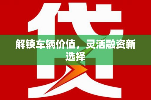 皇姑解锁车辆价值，灵活融资新选择
