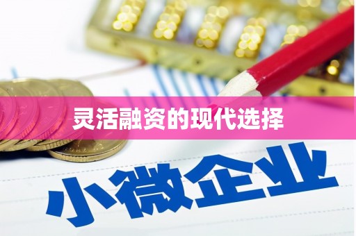 皇姑灵活融资的现代选择