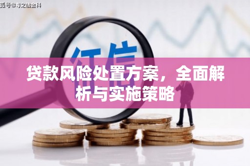 皇姑贷款风险处置方案，全面解析与实施策略