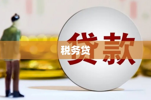 皇姑税务贷