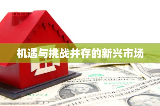 皇姑机遇与挑战并存的新兴市场