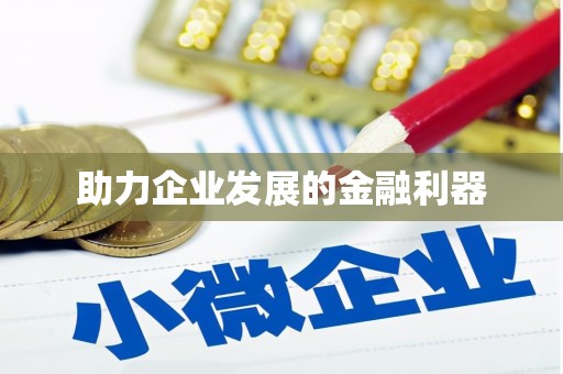 皇姑助力企业发展的金融利器