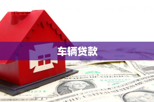 皇姑车辆贷款