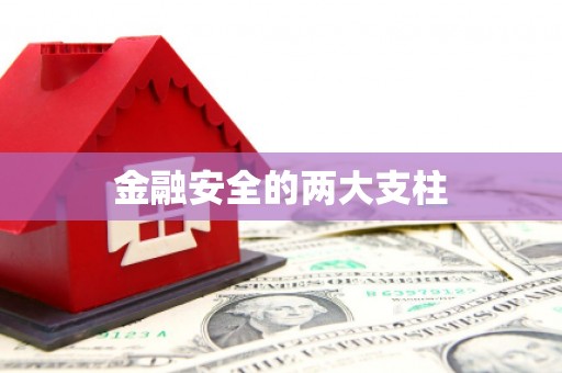 皇姑金融安全的两大支柱
